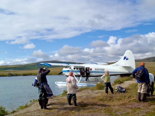 AK Bear Tour